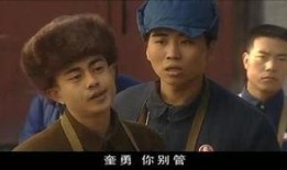 电视剧血色浪漫全36集在线观看,36集传奇人生，尽在全景呈现