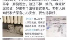 最新爆料偷税漏税案例