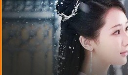 杨紫飞天涯爆料视频大全,揭秘娱乐圈幕后真相