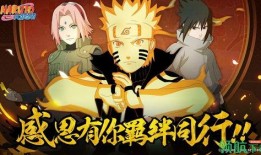 火影晚安爆料最新视频,揭秘最新视频中的关键信息与精彩瞬间