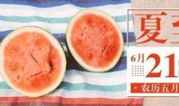 免费吃瓜公众号有哪些,带你领略网络世界的趣味盛宴