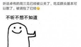 撒贝宁被卓伟爆料视频播放,卓伟爆料引发舆论热议