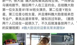 秦岚爆料女星视频播放,女星视频播放背后的惊人真相