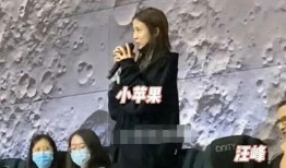 明星大爆料李宗盛视频在线观看,明星大爆料视频背后的真实人生