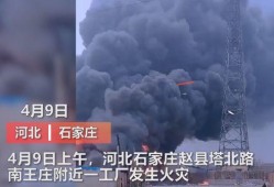 巡洋传媒爆料视频最新,揭秘娱乐圈最新动态