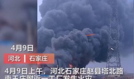 巡洋传媒爆料视频最新,揭秘娱乐圈最新动态