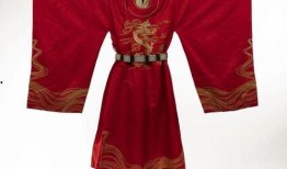 龙袍最新爆料视频大全集,最新爆料视频大全集深度解析