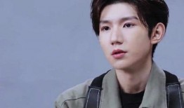 王源爆料视频,独家爆料背后的故事与幕后花絮