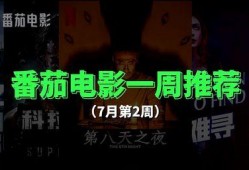 7天电影在线观看,在线观影指南