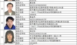 谷哨村爆料人员名单最新,揭秘最新爆料人员名单背后的真相”