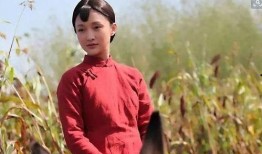 在线观看红高粱电视剧全集免费版,激情燃烧的岁月，热血沸腾的传奇