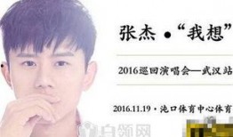 爆料张杰视频完整版,幕后故事与精彩瞬间大公开