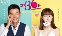 幸福三十六计在线观看,揭秘在线观看的幸福智慧之旅