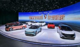 深圳王小姐爆料汽车视频,揭秘汽车行业惊人内幕