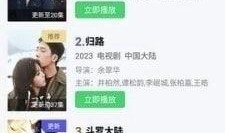 国内在线视频观看,流量密码揭秘