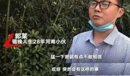 郭威知情爆料视频播放,揭秘事件背后真相