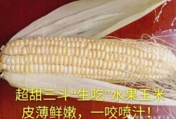 玉米最新爆料视频,惊人内幕曝光！