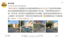 寿光最新爆料消息视频大全,揭秘背后真相与热点事件