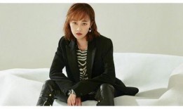 蓝盈莹圈内人爆料,揭秘娱乐圈背后的真相与内幕