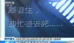 深圳宝安小刘爆料案件最新,小刘揭露最新案件内幕，真相即将揭晓