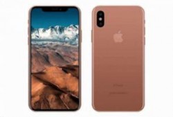 苹果x颜色最新爆料,神秘配色惊艳亮相，引领潮流新趋势