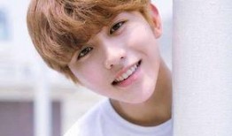 蔡徐坤爆料人贴吧最新消息,揭秘背后惊人真相！”