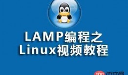 爆料小故事素材视频网站,视频网站背后的精彩瞬间