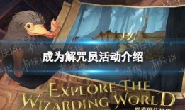 哈利波特作业最新爆料,神秘新章节揭秘，魔法世界再掀波澜
