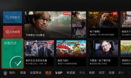 国内在线视频观看,流量密码揭秘