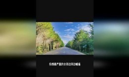 小伙子爆料唐山事件视频,小伙子亲历者视角下的惊心动魄瞬间