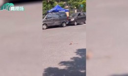 网友爆料被蛇咬了视频,紧急救援！网友现场直击蛇咬事件