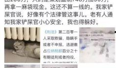 最新爆料偷税漏税案例,最新偷税漏税案例引发行业地震
