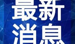 武汉胖子爆料视频大全最新,揭秘城市生活百态