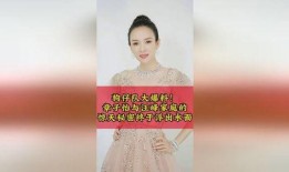 狗仔队爆料汪峰视频在线观看,汪峰神秘视频在线观看，揭秘幕后故事