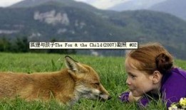 娱乐吃瓜酱狐狸