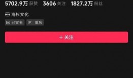 爆料倪海杉助理视频,揭秘幕后的真实故事