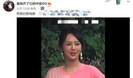 杨紫飞天涯爆料视频大全,揭秘娱乐圈幕后真相