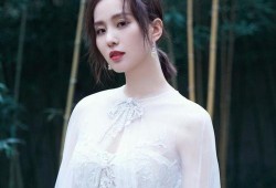 圈内爆料肖战刘诗诗,圈内爆料引发热议