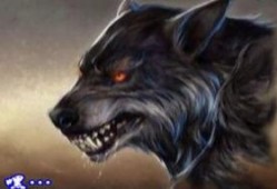 苍狼动漫在线观看土豆,热血青春，激战正酣