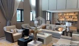 西岛最新官方爆料新闻,最新动态与幕后故事大公开