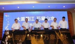 盈江新闻爆料事件,真相与舆论的交织