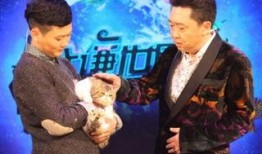 孟鹤堂爆料于谦视频全集,视频全集背后的精彩故事与幕后花絮