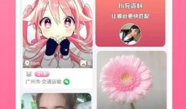 王者至尊最新爆料视频下载,揭秘神秘英雄与全新游戏玩法